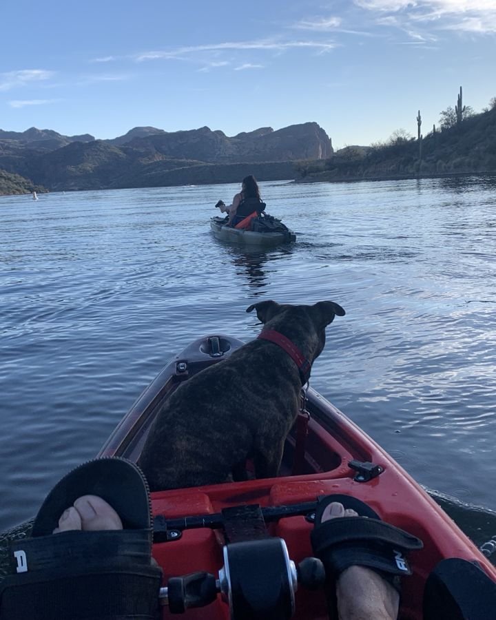 Dog riding along in a kayak on Saguaro Lake