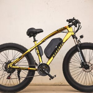 ebike, electric bike, electric bicycle, mesa, tempe, phoenix,