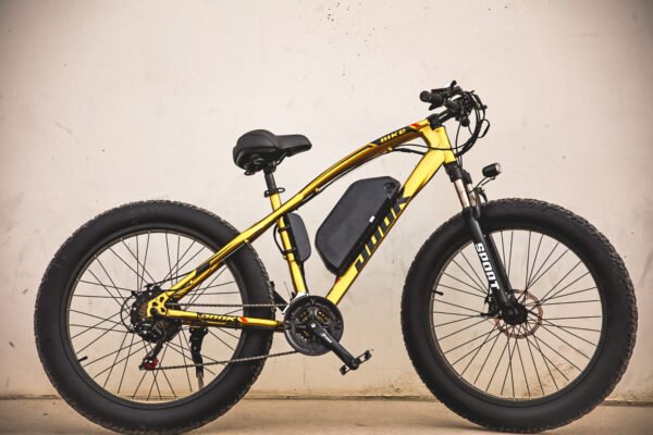 ebike, electric bike, electric bicycle, mesa, tempe, phoenix,