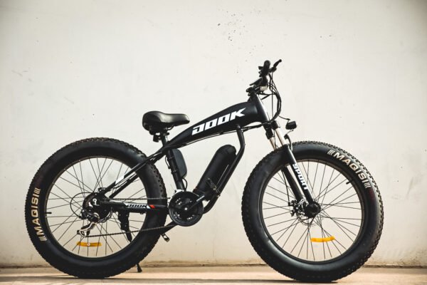 electric bike, electric bicycle, ebike