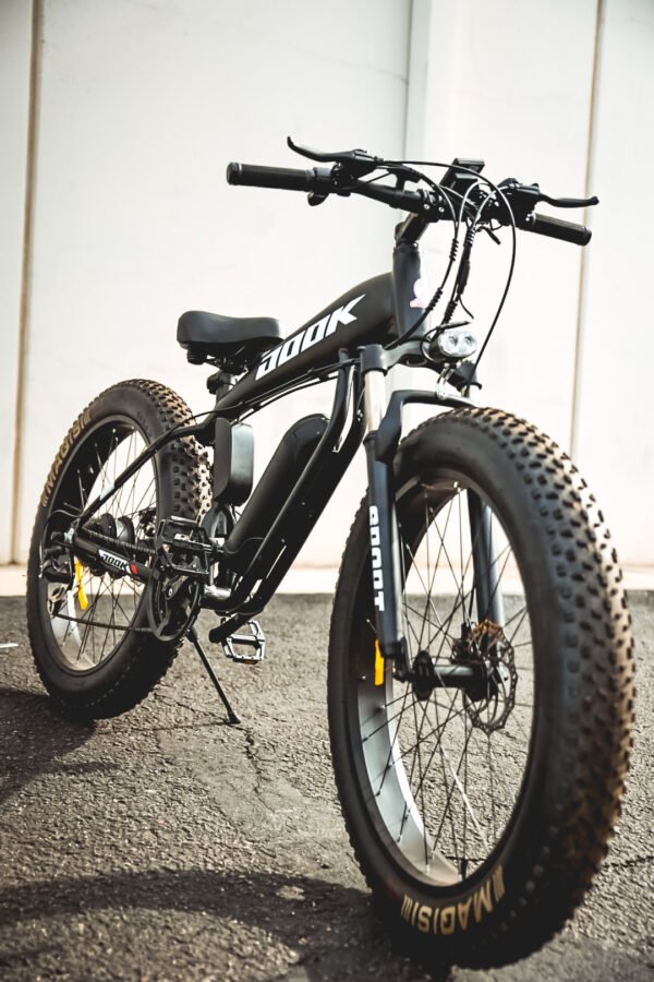 electric bike, electric bicycle, ebike