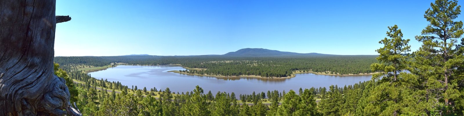Lake Mary